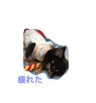 仲良しチワワ（個別スタンプ：11）