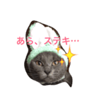 猫田さん家の猫（個別スタンプ：1）