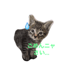 猫田さん家の猫（個別スタンプ：2）