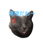 猫田さん家の猫（個別スタンプ：3）
