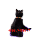 家の猫cat's（個別スタンプ：4）