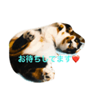 Miller（個別スタンプ：1）