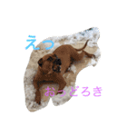 g.dog.yumi（個別スタンプ：8）