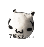 現ヌコ実（個別スタンプ：1）