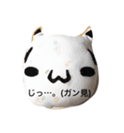 現ヌコ実（個別スタンプ：7）