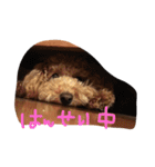 moco'（個別スタンプ：3）