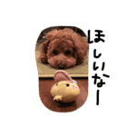 moco'（個別スタンプ：5）