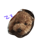 moco'（個別スタンプ：6）