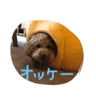 moco'（個別スタンプ：8）