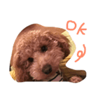 moco'（個別スタンプ：10）