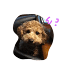 moco'（個別スタンプ：11）
