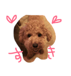 moco'（個別スタンプ：13）