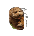 moco'（個別スタンプ：14）