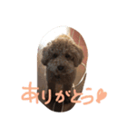 moco'（個別スタンプ：15）