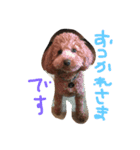 moco'（個別スタンプ：16）