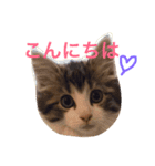 クレアの日常（個別スタンプ：7）
