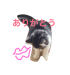 クレアの日常（個別スタンプ：8）
