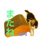 クレアの日常（個別スタンプ：13）