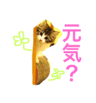 クレアの日常（個別スタンプ：15）