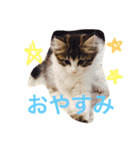 クレアの日常（個別スタンプ：16）