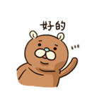 Popo Bear ＆ Mei Bunny(daily expressions)（個別スタンプ：5）