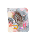 mirin meow（個別スタンプ：3）