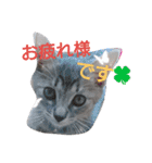 mirin meow（個別スタンプ：4）