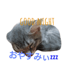 mirin meow（個別スタンプ：6）