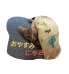 mirin meow（個別スタンプ：7）