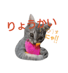 mirin meow（個別スタンプ：14）
