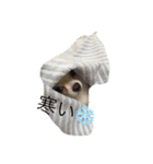チワワんこちゃんです（個別スタンプ：2）