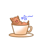 Coffee cat - Kuffee（個別スタンプ：2）