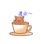 Coffee cat - Kuffee（個別スタンプ：7）
