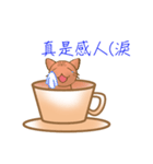 Coffee cat - Kuffee（個別スタンプ：19）