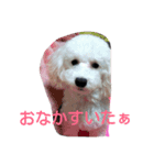 whitedog＆blackdog(richomochieyi )（個別スタンプ：2）