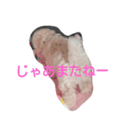 whitedog＆blackdog(richomochieyi )（個別スタンプ：6）