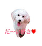 whitedog＆blackdog(richomochieyi )（個別スタンプ：9）