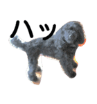 whitedog＆blackdog(richomochieyi )（個別スタンプ：10）
