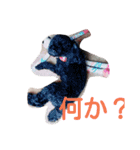 whitedog＆blackdog(richomochieyi )（個別スタンプ：11）