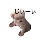whitedog＆blackdog(richomochieyi )（個別スタンプ：12）