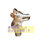 私のノルウェージャン♡（個別スタンプ：2）