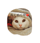 ど様スタンプ（個別スタンプ：4）