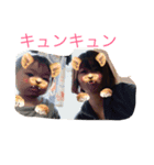 ゆかそらあお スタンプ（個別スタンプ：13）