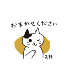 天野さんスタンプ 丁寧な猫（個別スタンプ：19）