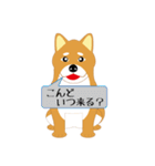 可愛い柴犬のスタンプ（個別スタンプ：5）