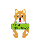 可愛い柴犬のスタンプ（個別スタンプ：6）