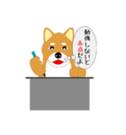 可愛い柴犬のスタンプ（個別スタンプ：10）