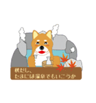 可愛い柴犬のスタンプ（個別スタンプ：13）