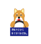 可愛い柴犬のスタンプ（個別スタンプ：24）