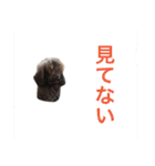ザイオン スタンプ 24 Ⅱ（個別スタンプ：5）